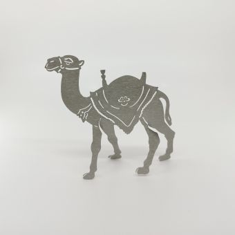 Kamel 